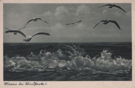 Norderney - Möwen bei Windstärke 5 - ca. 1950 Norderney - Möwen bei Windstärke 5 - ca. 1950