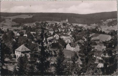 Bischofsgrün - Blick vom Hügelfelsen - 1957 Bischofsgrün - Blick vom Hügelfelsen - 1957