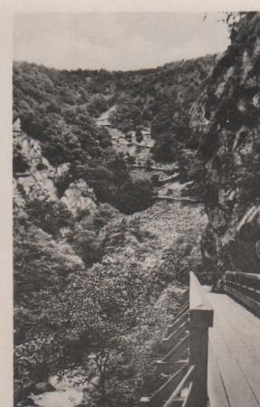 Thale - Bodetal - Blick auf die Schurre - ca. 1955 Thale - Bodetal - Blick auf die Schurre - ca. 1955