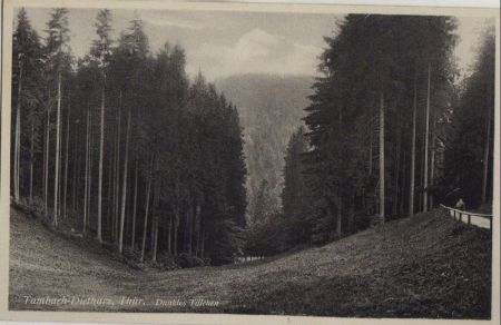 Tambach-Dietharz - Dunkles Tälchen - ca. 1955 Tambach-Dietharz - Dunkles Tälchen - ca. 1955