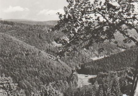 Frauenwald Rennsteig - Blick in Tränkbachtal - 1983 Frauenwald Rennsteig - Blick in Tränkbachtal - 1983