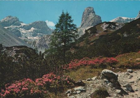 Österreich - Hochkönig - Aufstieg - ca. 1980 Österreich - Hochkönig - Aufstieg - ca. 1980