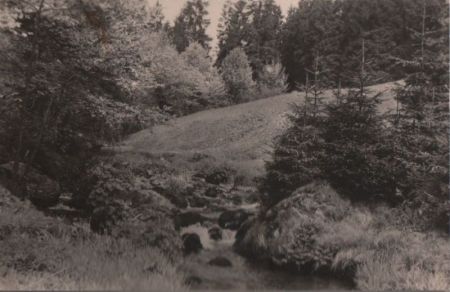Schmiedefeld - Im unteren Vessertal - 1974 Schmiedefeld - Im unteren Vessertal - 1974