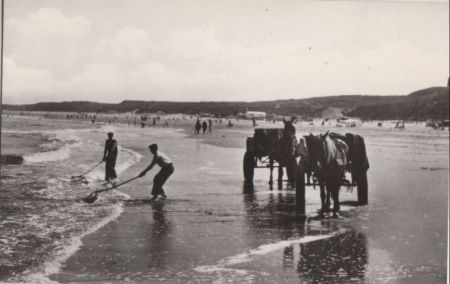 Niederlande - Den Haag, Scheveningen - Schelpenvissers - ca. 1960 Niederlande - Den Haag, Scheveningen - Schelpenvissers - ca. 1960