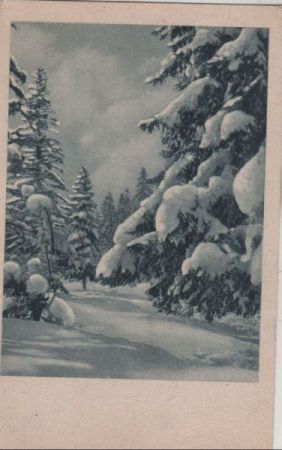Winterlandschaft mit Schnee Winterlandschaft mit Schnee