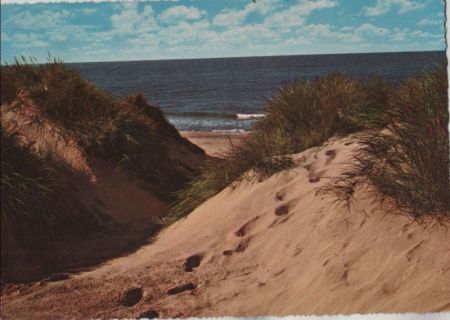 Dünen und mehr Dünen und mehr