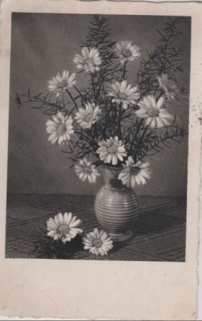 Blumen in gestreifter Vase Blumen in gestreifter Vase