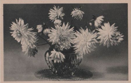 Blumen in Vase Blumen in Vase