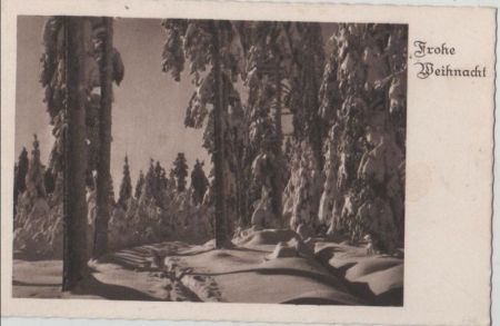 Frohe Weihnacht Wald im Winter Frohe Weihnacht Wald im Winter