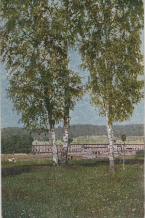 Birken großes Gebäude Birken großes Gebäude
