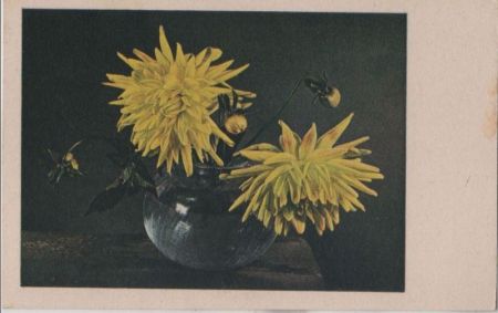 Zwei Blumen gelb Zwei Blumen gelb