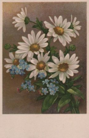 Blumen zwei Arten Blumen zwei Arten