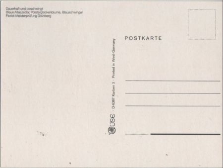 Blaue Atlaszeder Dauerhaft und beschwingt