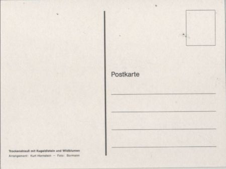 Trockenstrauch mit Kugeldisteln Trockenstrauch mit Kugeldisteln