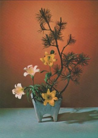 Ikebana Hoffen auf ein neues Licht Ikebana Hoffen auf ein neues Licht