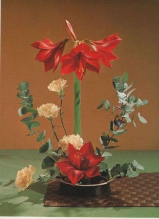 Amaryllis mit Nelken Arrangement Amaryllis mit Nelken Arrangement