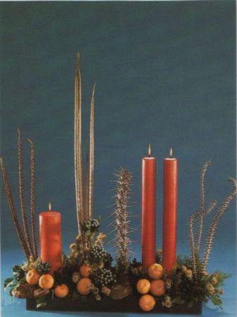 verschiedene Pflanzen weihnachtliche Zeit verschiedene Pflanzen weihnachtliche Zeit
