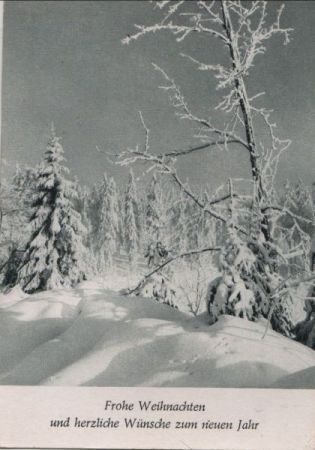 Frohe Weihnachten Schneelandschaft Frohe Weihnachten Schneelandschaft