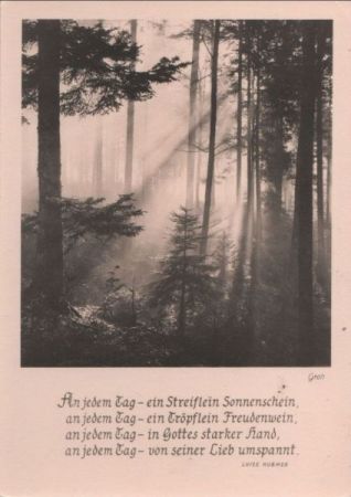 An jedem Tag ein Streifen Sonnenschein An jedem Tag ein Streifen Sonnenschein