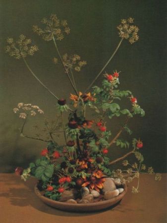 Schierling Arrangement Schierling Arrangement