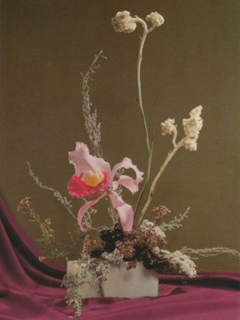 Cattleya-Orchidee Arrangement Cattleya-Orchidee Arrangement
