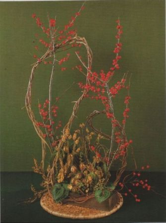 Ilex Arrangement Ilex Arrangement