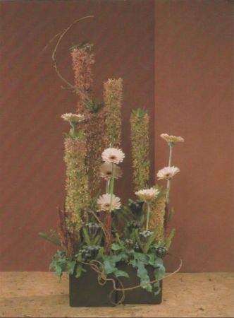 Arum mit Gerbera Arrangement Arum mit Gerbera Arrangement