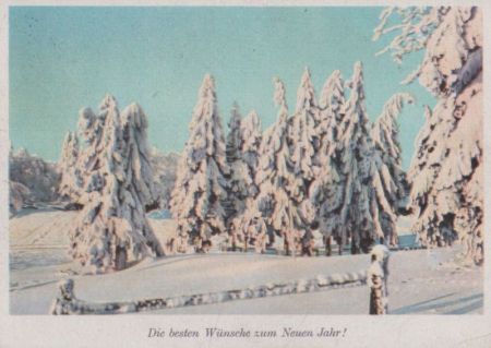 Zum neuen Jahr Winterwald Zum neuen Jahr Winterwald