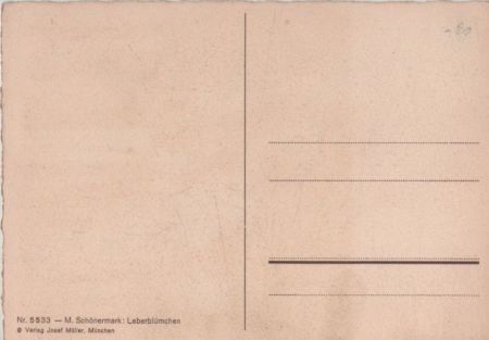 Schönermark Leberblümchen Schönermark Leberblümchen
