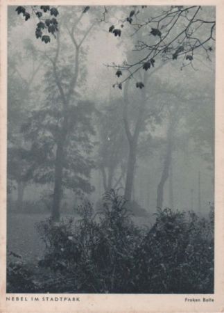 Nebel Stadtpark Nebel Stadtpark