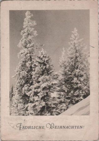 Herzliche Weihnachten Winterbäume Herzliche Weihnachten Winterbäume