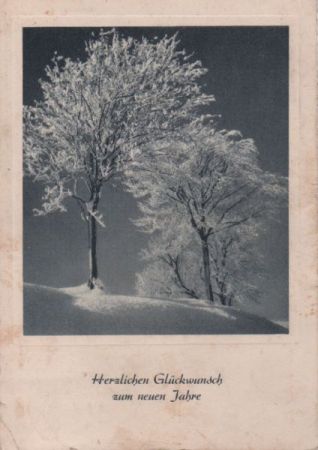 Zum neuen Jahr Bäume im Winter Zum neuen Jahr Bäume im Winter