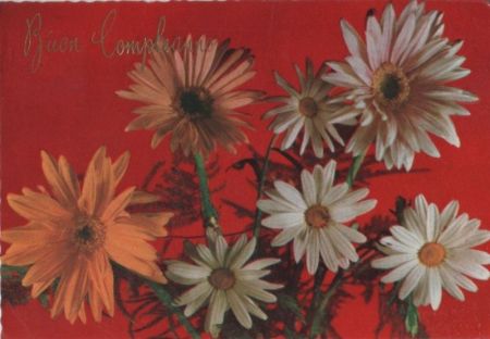 Buon Compleanno Blumen Buon Compleanno Blumen