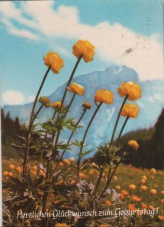 Zum Geburtstag Blumen im Gebirge Zum Geburtstag Blumen im Gebirge