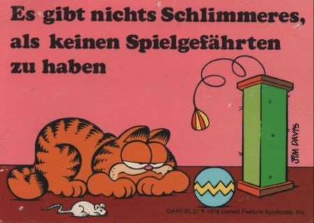 Kien Spielgefährte Garfield Kien Spielgefährte Garfield