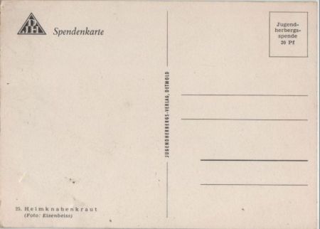 Helmknabenkraut auf Wiese Helmknabenkraut auf Wiese