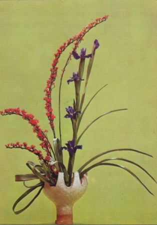 Bunter Blütenschmuck Ikebana Bunter Blütenschmuck Ikebana