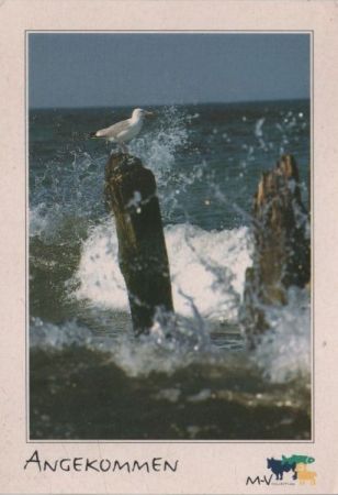 Mecklenburg-Vorpommern - Angekommen Mecklenburg-Vorpommern - Angekommen