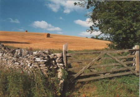 Trockenmauer und Gatter Trockenmauer und Gatter