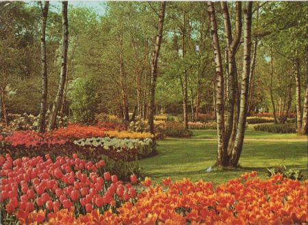 Holland - Niederlande - Blumenland Holland - Niederlande - Blumenland