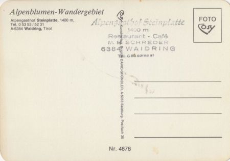 Waidring - Österreich - Alpenblumen-Wanderweg