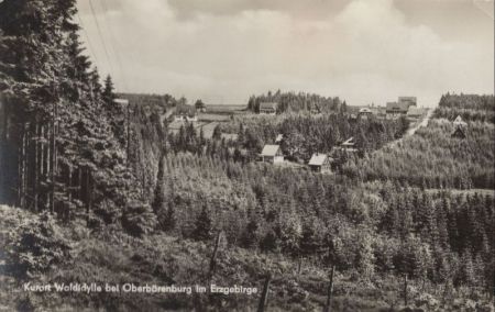 Altenberg-Oberbärenburg - Waldidylle Altenberg-Oberbärenburg - Waldidylle