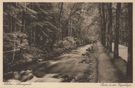 Bad Wildbad im Schwarzwald - Enzanlagen Bad Wildbad im Schwarzwald - Enzanlagen
