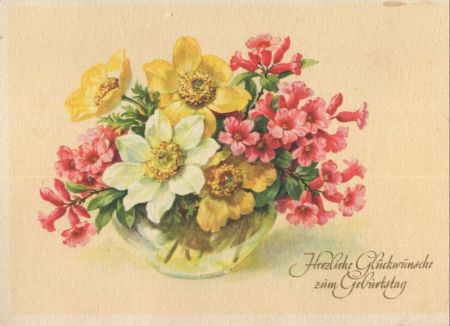 Glückwünsche Geburtstag Glückwünsche Geburtstag