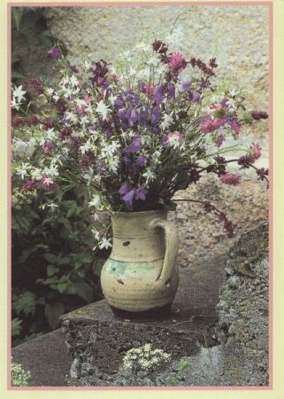 Blumen in Krug Blumen in Krug