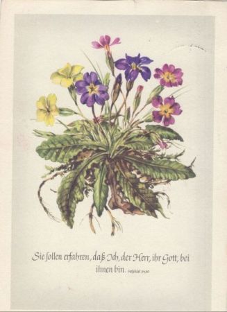 Sinnspruch mit Blumen Sinnspruch mit Blumen