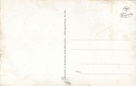 Trechtingshausen, Burg Rheinstein - mit Rheindampfer