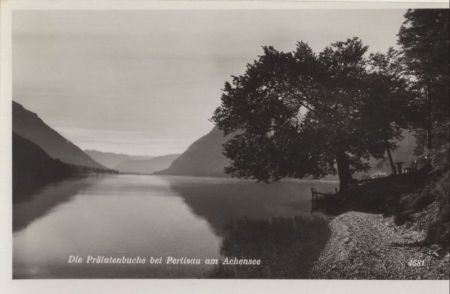 Pertisau - Österreich - Prälatenbuche Pertisau - Österreich - Prälatenbuche