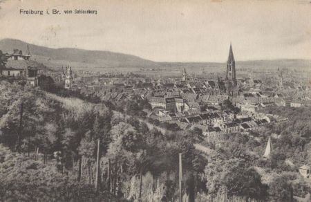 Freiburg - vom Schlossberg Freiburg - vom Schlossberg