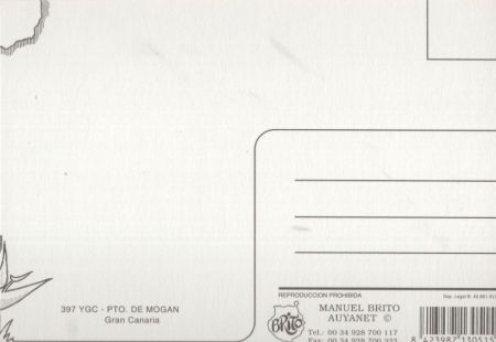 Mogan - Spanien - Luftbild